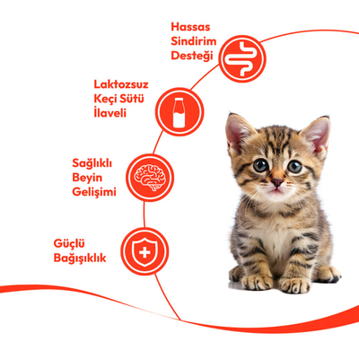 Wanpy Somonlu 12'li - Yavru Kedi Krema Ödülü 5x14 g - Thumbnail