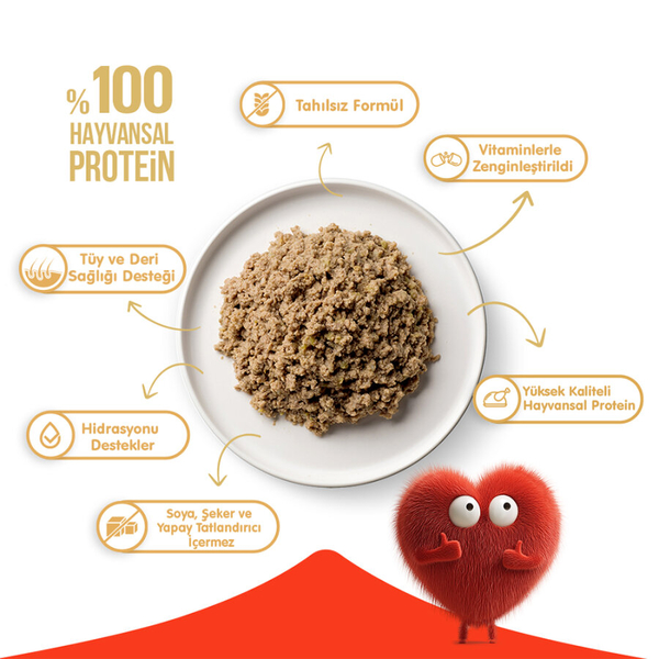 Wanpy Tahılsız Kedi %100 Gerçek Et 375 gr Ton Balıklı Konserve 12 Adet