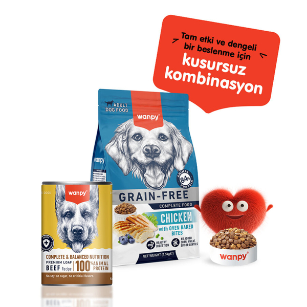 Wanpy Tahılsız Köpek %100 Gerçek Et 375 gr Biftekli Konserve 12 Adet