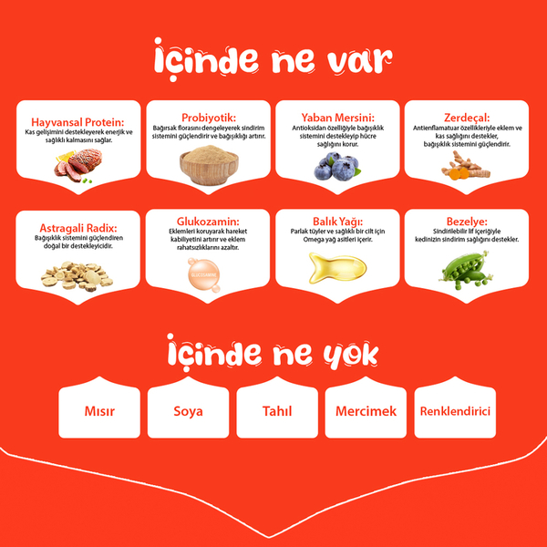 Wanpy Tahılsız Ördekli Yetişkin Köpek Maması 1,5 kg Wanpy Tahılsız Ördekli Yetişkin Köpek Maması 1,5 kg