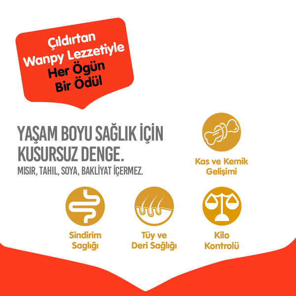 Wanpy Tahılsız Sığır Etli Yetişkin Köpek Maması 1,5 kg Wanpy Tahılsız Sığır Etli Yetişkin Köpek Maması 1,5 kg