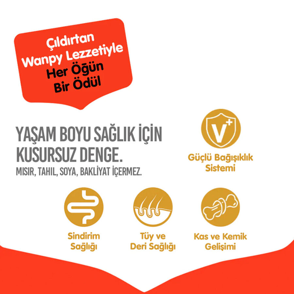 Wanpy Tahılsız Somonlu Yetişkin Köpek Maması 1,5 kg