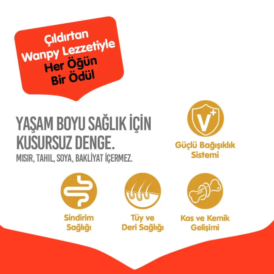 Wanpy Tahılsız Tavuklu Yetişkin Köpek Maması 12 kg