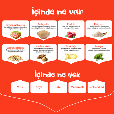 Wanpy Tahılsız Ton Balıklı Yetişkin Kedi Maması 8 kg - Thumbnail