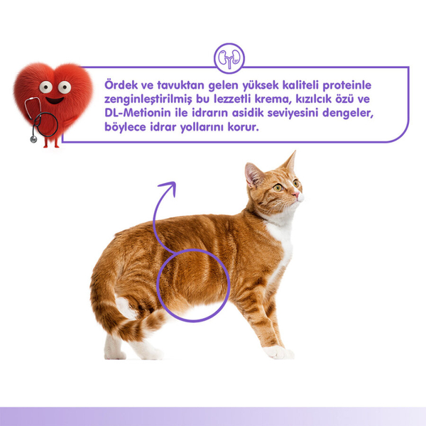 Wanpy Urinary Care Ördek&Tavuk 12'li-F.Krema Ödül 5x14gr